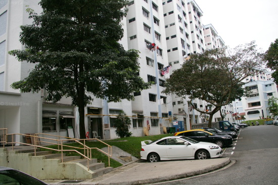 Blk 217 Bukit Batok Street 21 (Bukit Batok), HDB 3 Rooms #334312